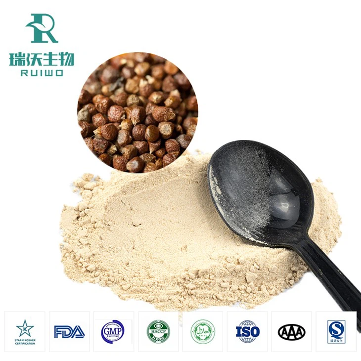 Aframomum Melegueta Extract